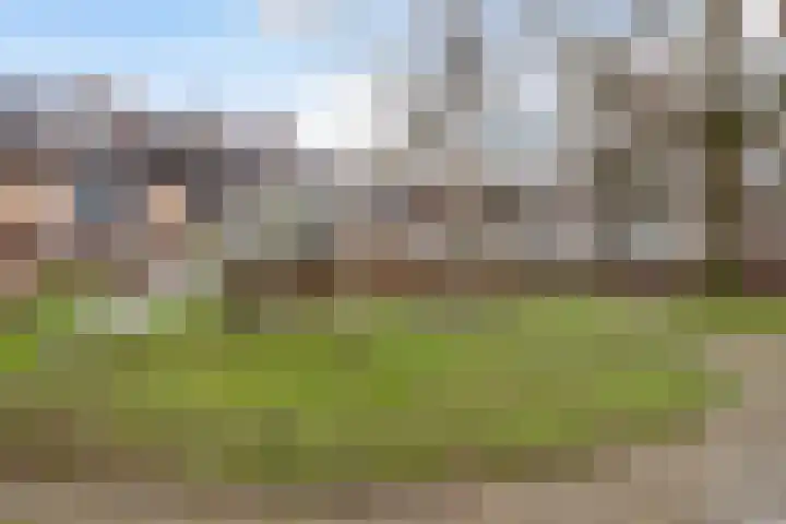 Ribeslaan 7 Woerden thumbnail 36