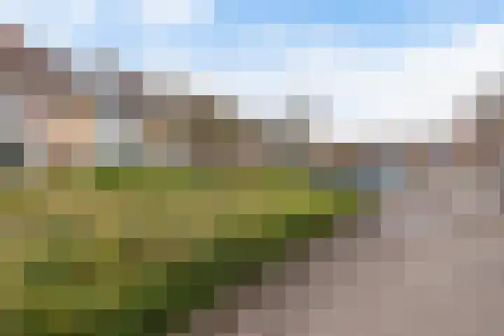 Ribeslaan 7 Woerden thumbnail 37