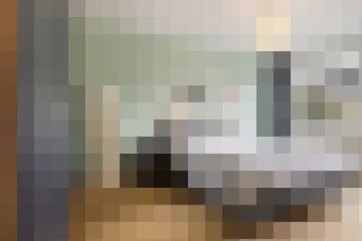 Ribeslaan 75 Rotterdam thumbnail 17