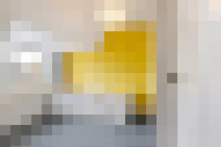 Ribeslaan 75 Rotterdam thumbnail 31