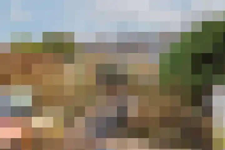 Ribeslaan 75 Rotterdam thumbnail 36