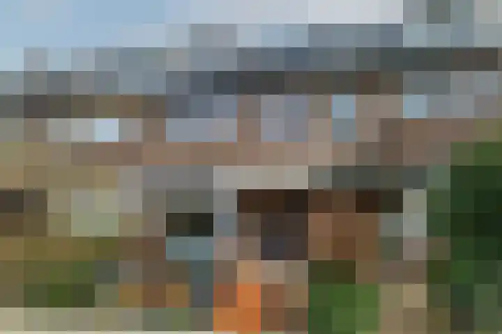 Ribeslaan 75 Rotterdam thumbnail 49
