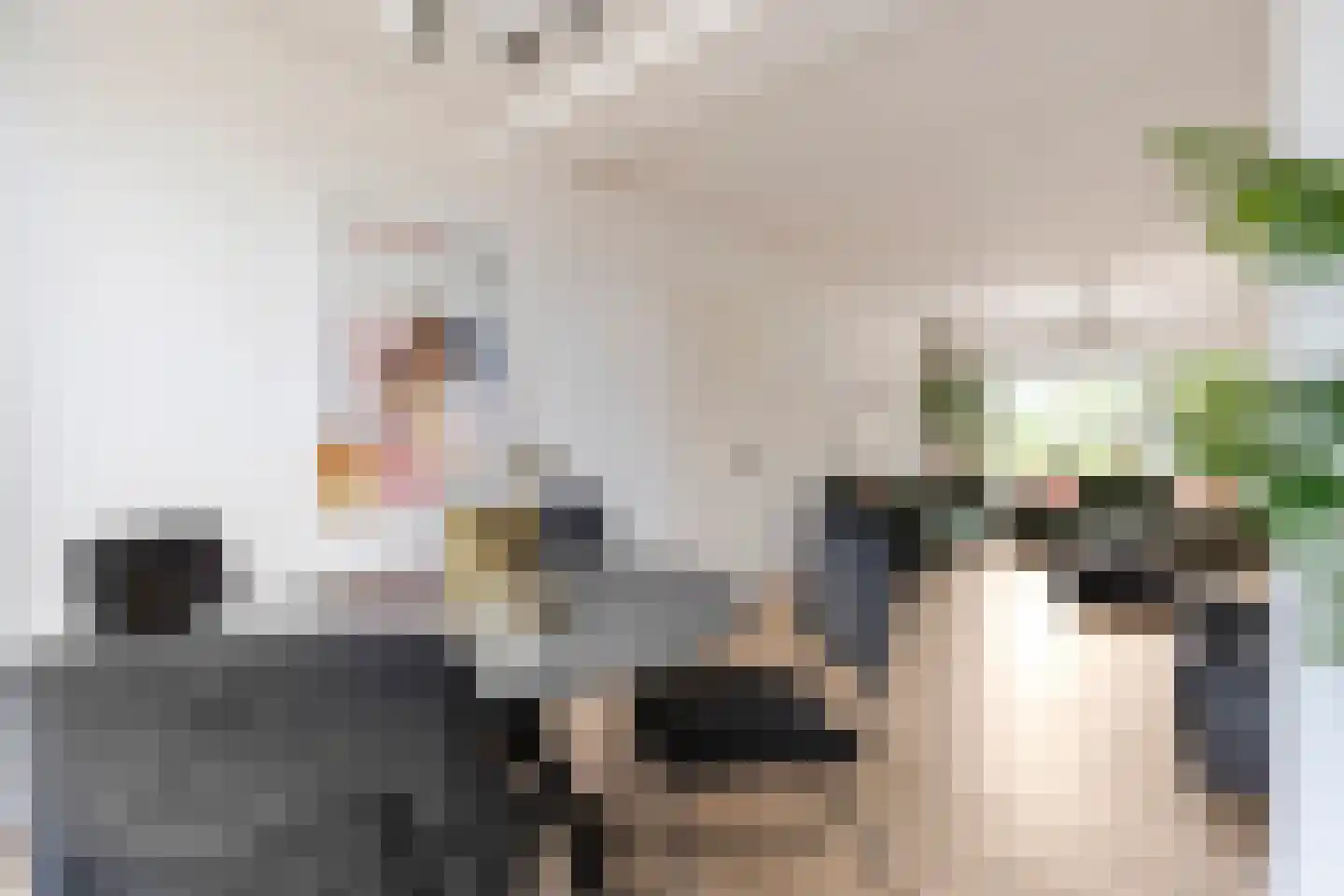 Ribesstraat 1 Groningen thumbnail 17