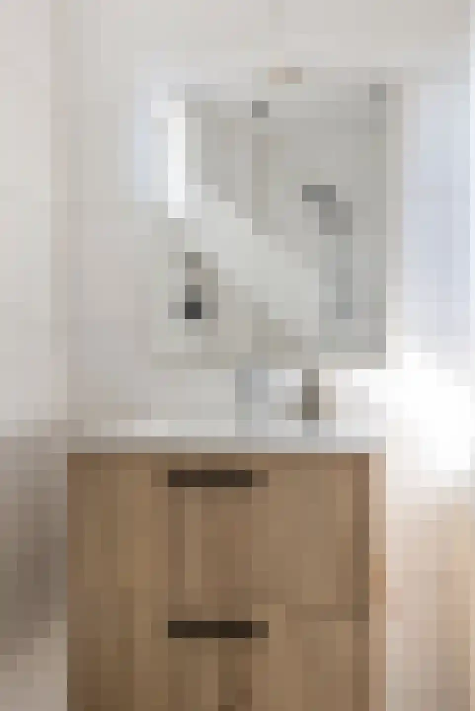 Ribesstraat 1 Groningen thumbnail 28