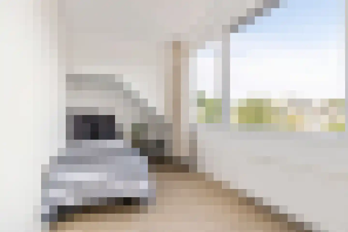 Ribesstraat 1 Groningen thumbnail 34