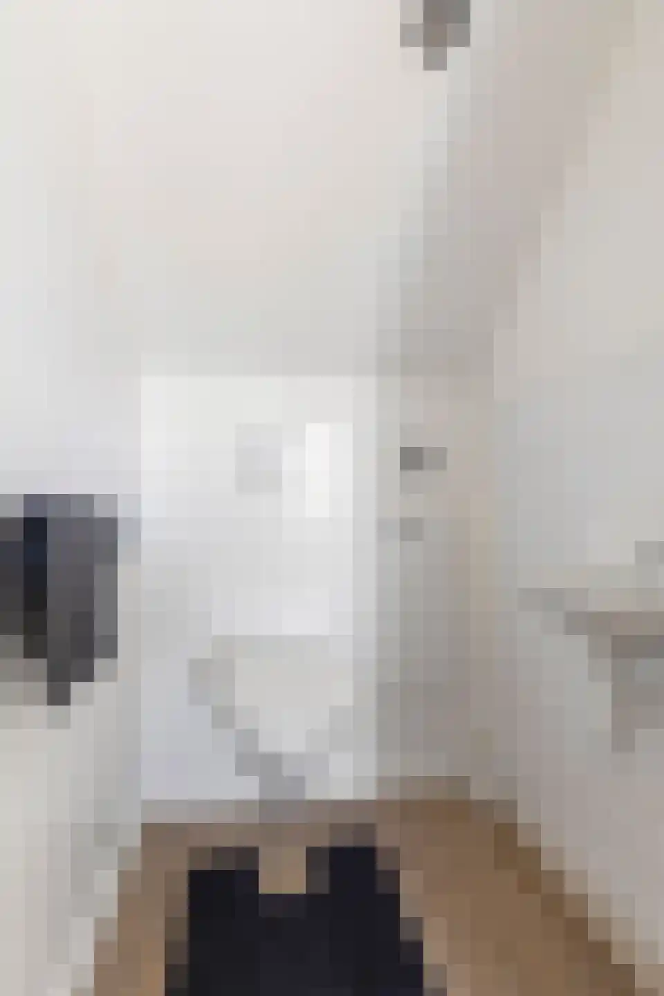 Ribesstraat 1 Groningen thumbnail 35