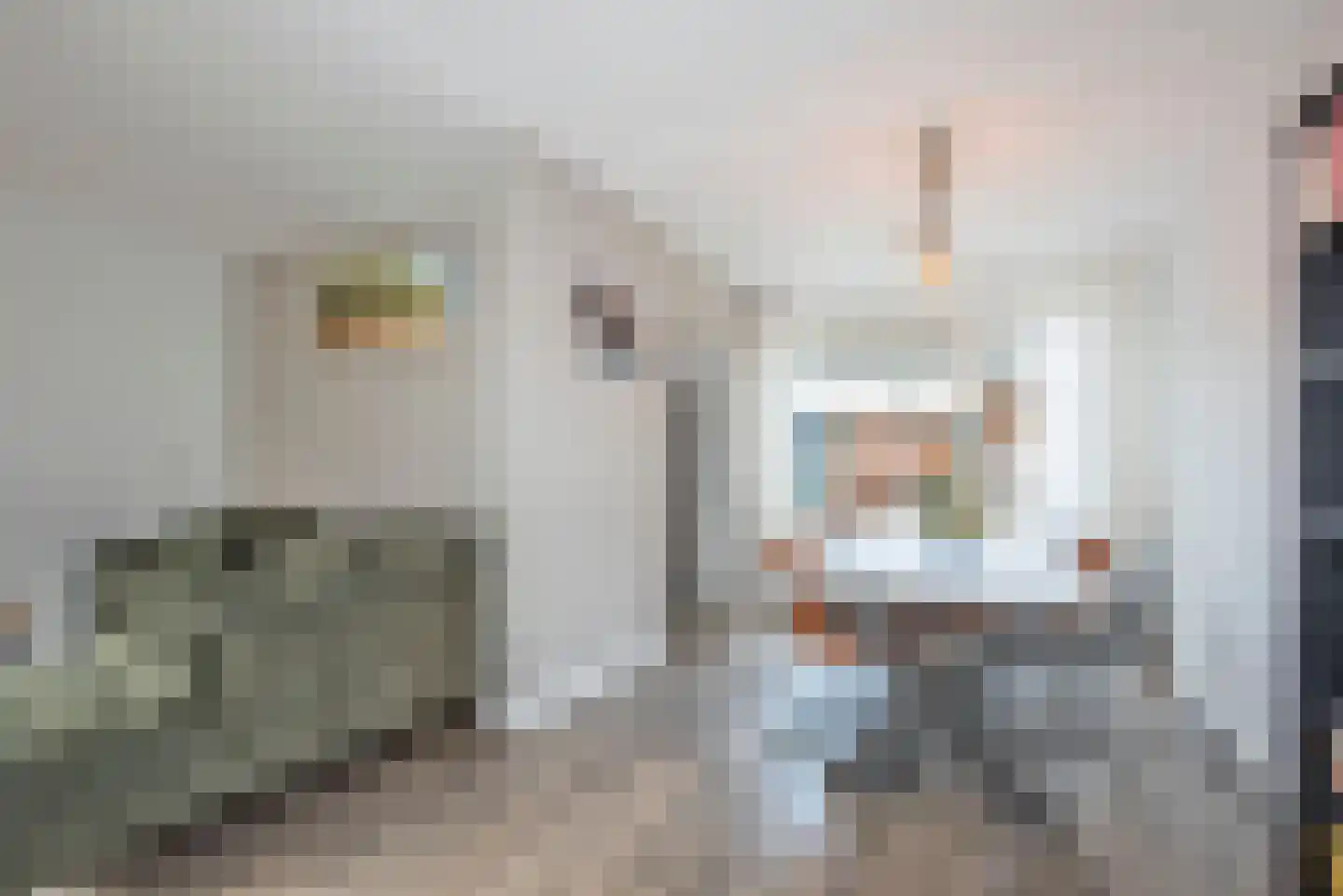 Ribesstraat 11 Borne thumbnail 11
