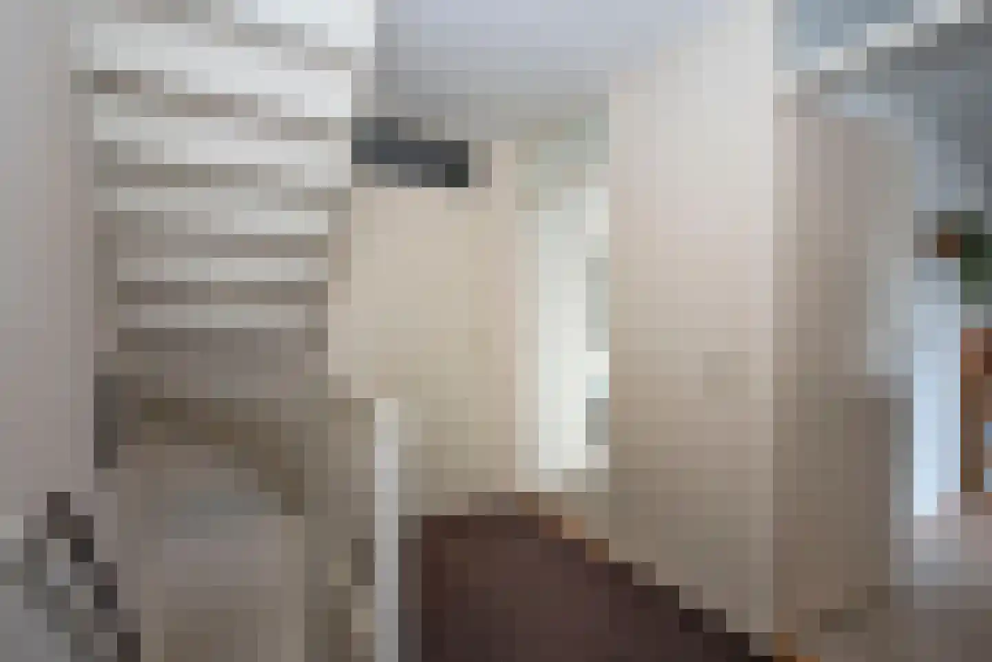 Ribesstraat 11 Borne thumbnail 16
