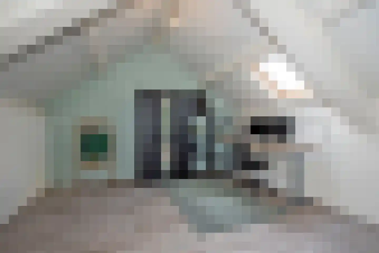 Ribesstraat 11 Borne thumbnail 25