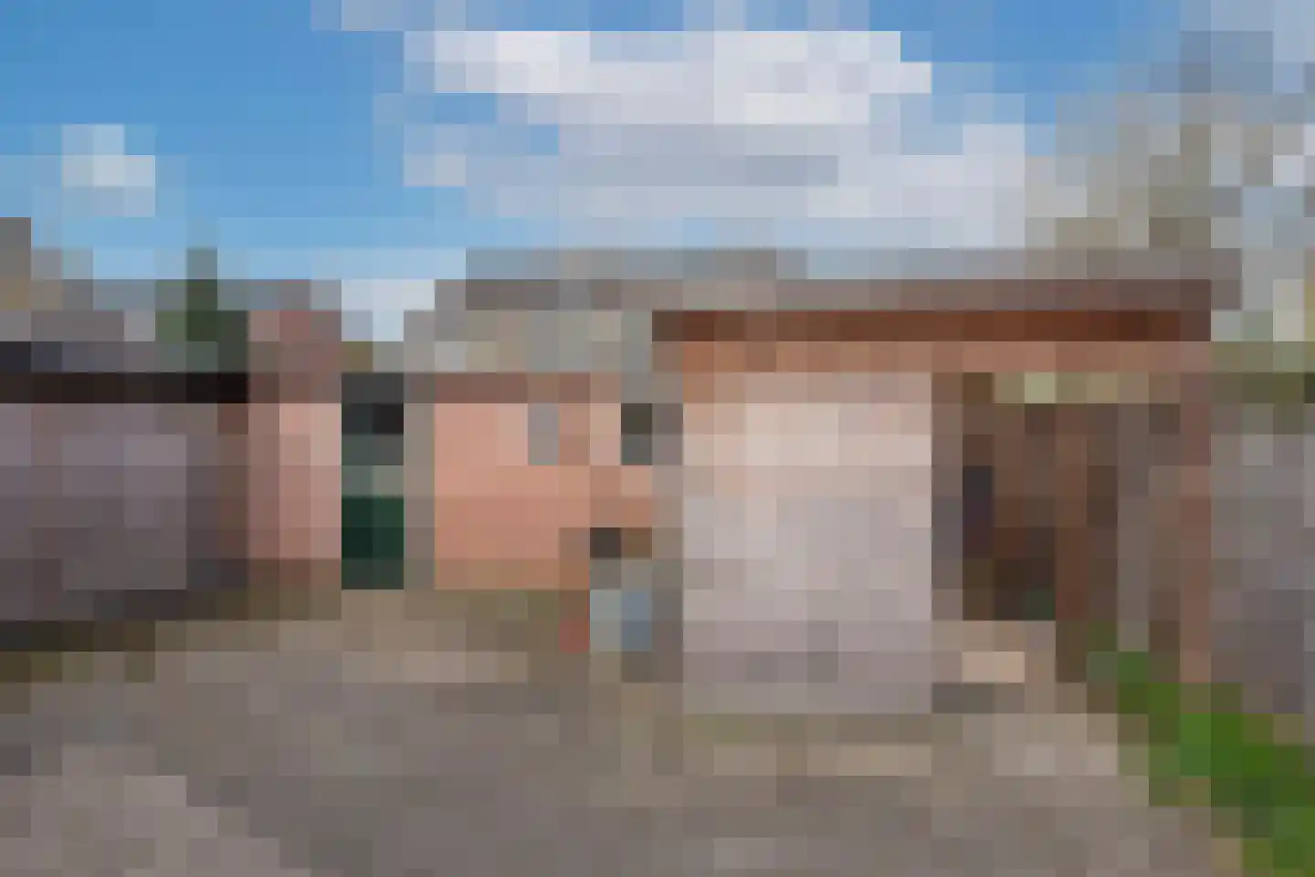 Ribesstraat 11 Borne thumbnail 28