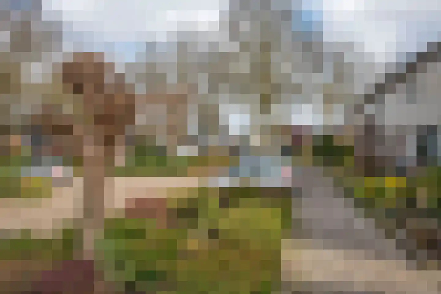 Ribesstraat 11 Borne thumbnail 30