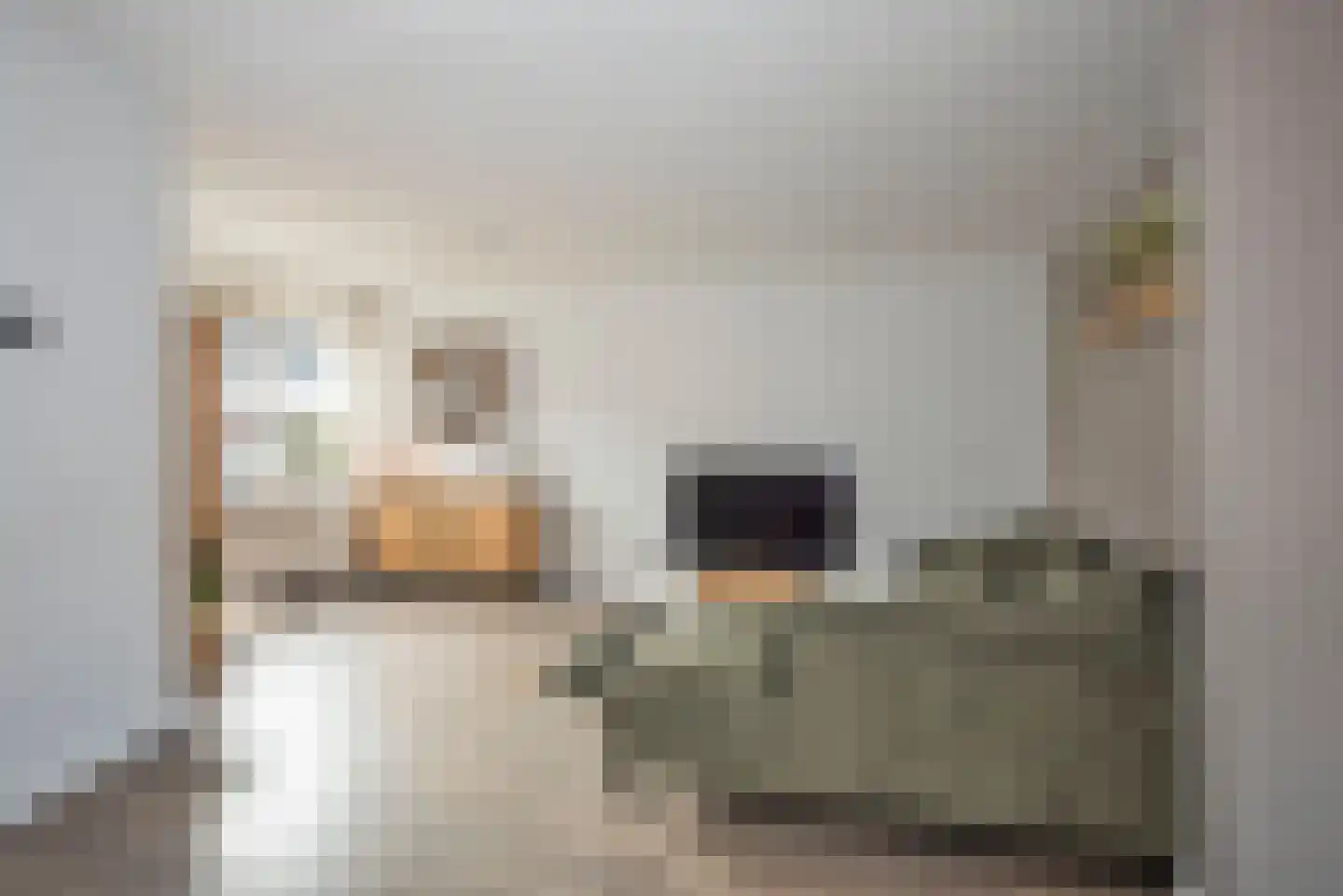 Ribesstraat 11 Borne thumbnail 9