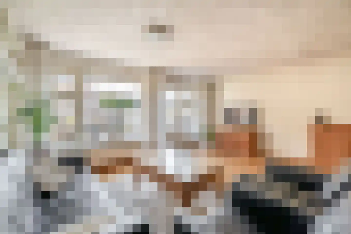 Ribesstraat 12 Lisserbroek thumbnail 11