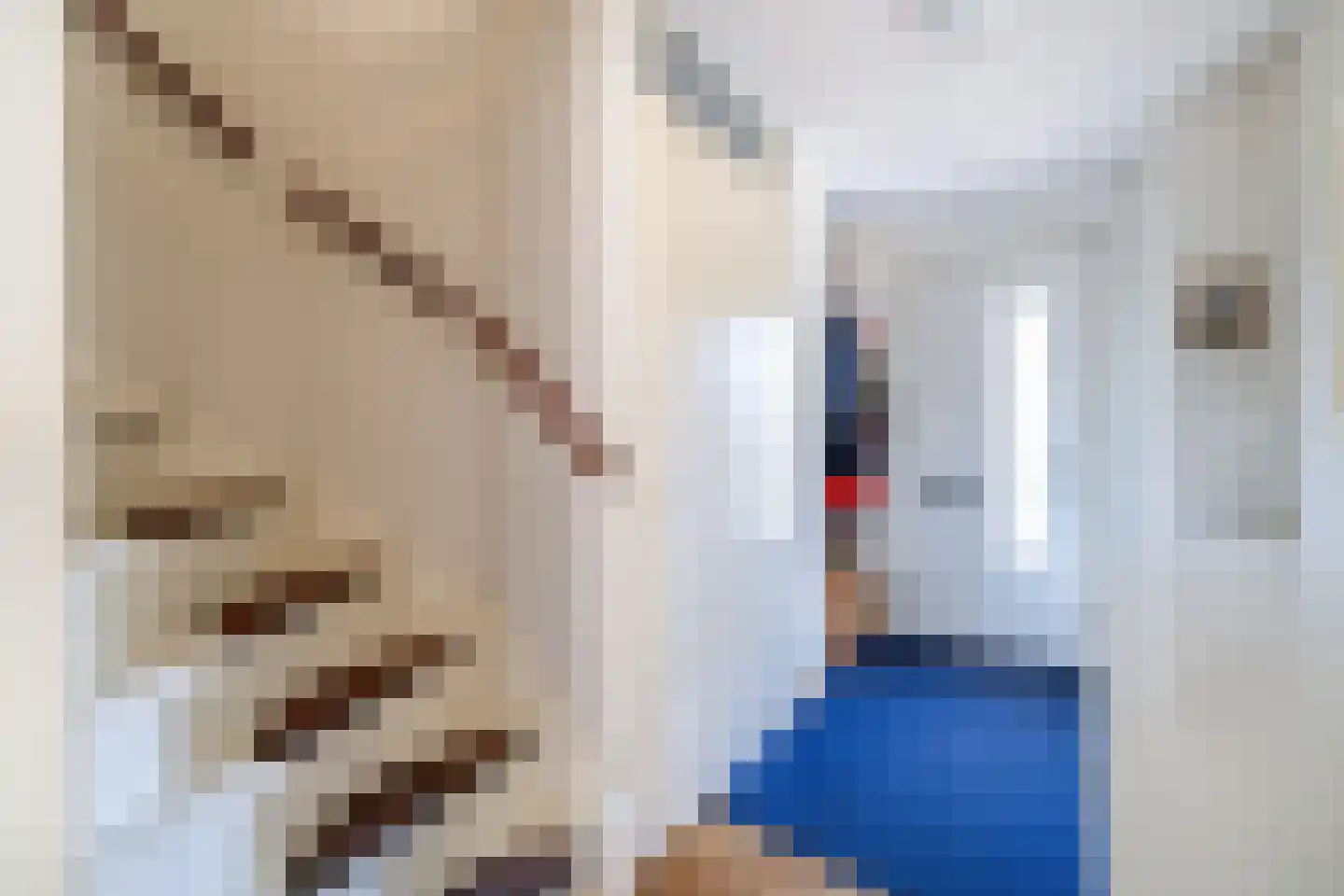 Ribesstraat 12 Lisserbroek thumbnail 16