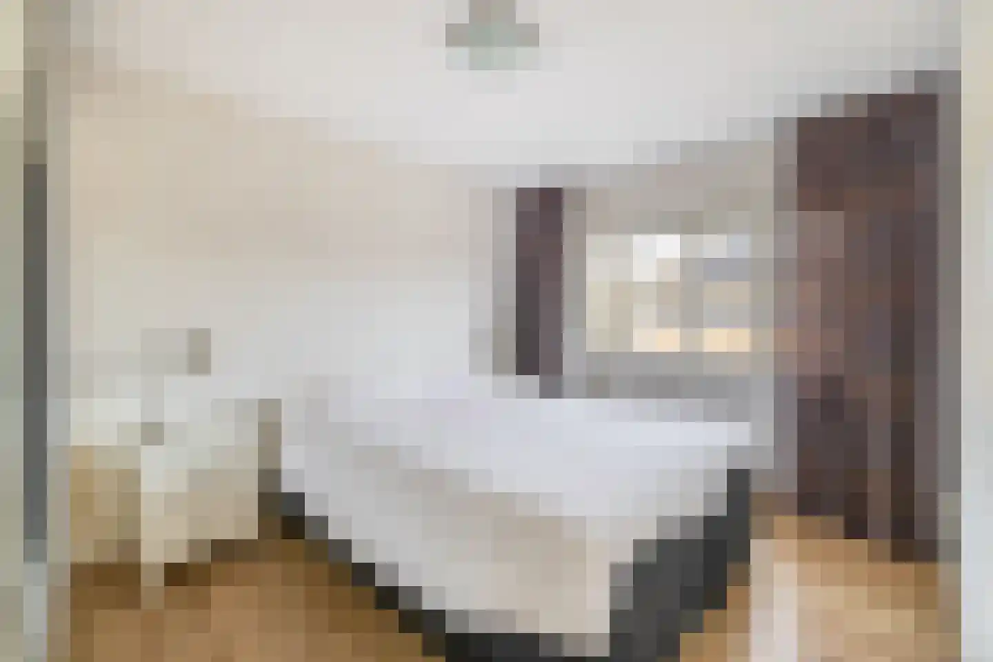 Ribesstraat 12 Lisserbroek thumbnail 18