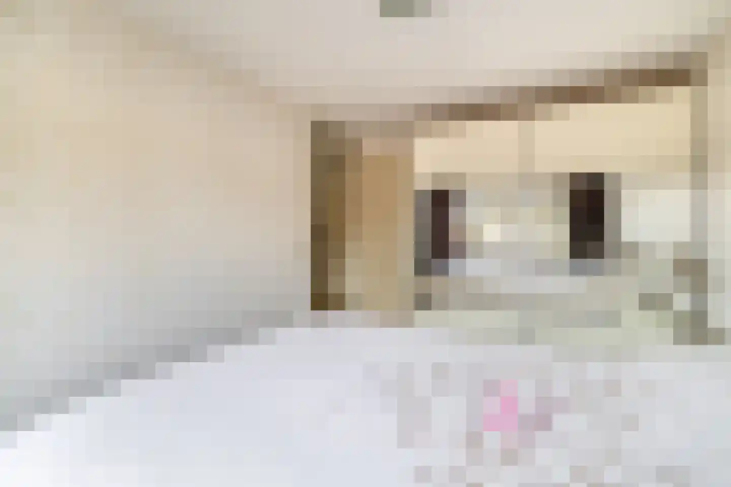 Ribesstraat 12 Lisserbroek thumbnail 19