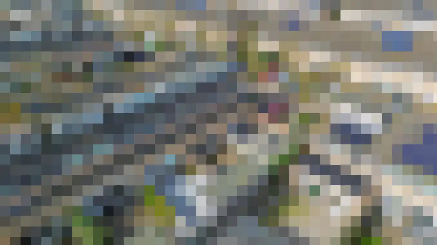 Ribesstraat 12 Lisserbroek thumbnail 37