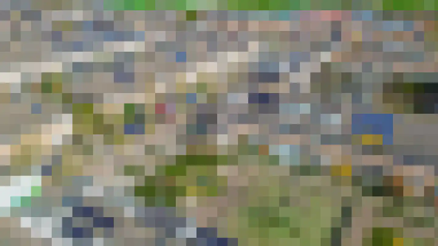 Ribesstraat 12 Lisserbroek thumbnail 4