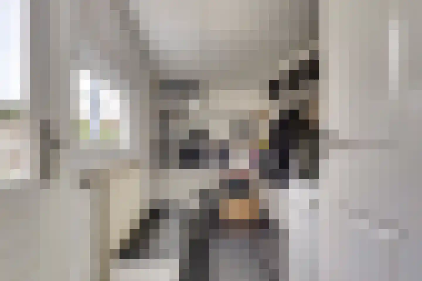 Ribesstraat 12 Nieuwerkerk thumbnail 11