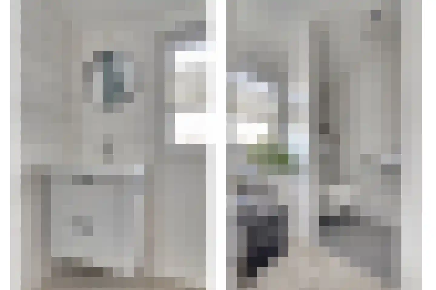 Ribesstraat 12 Nieuwerkerk thumbnail 16