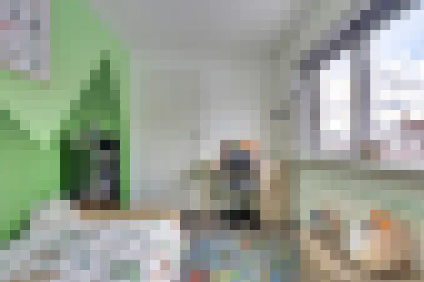 Ribesstraat 12 Nieuwerkerk thumbnail 19