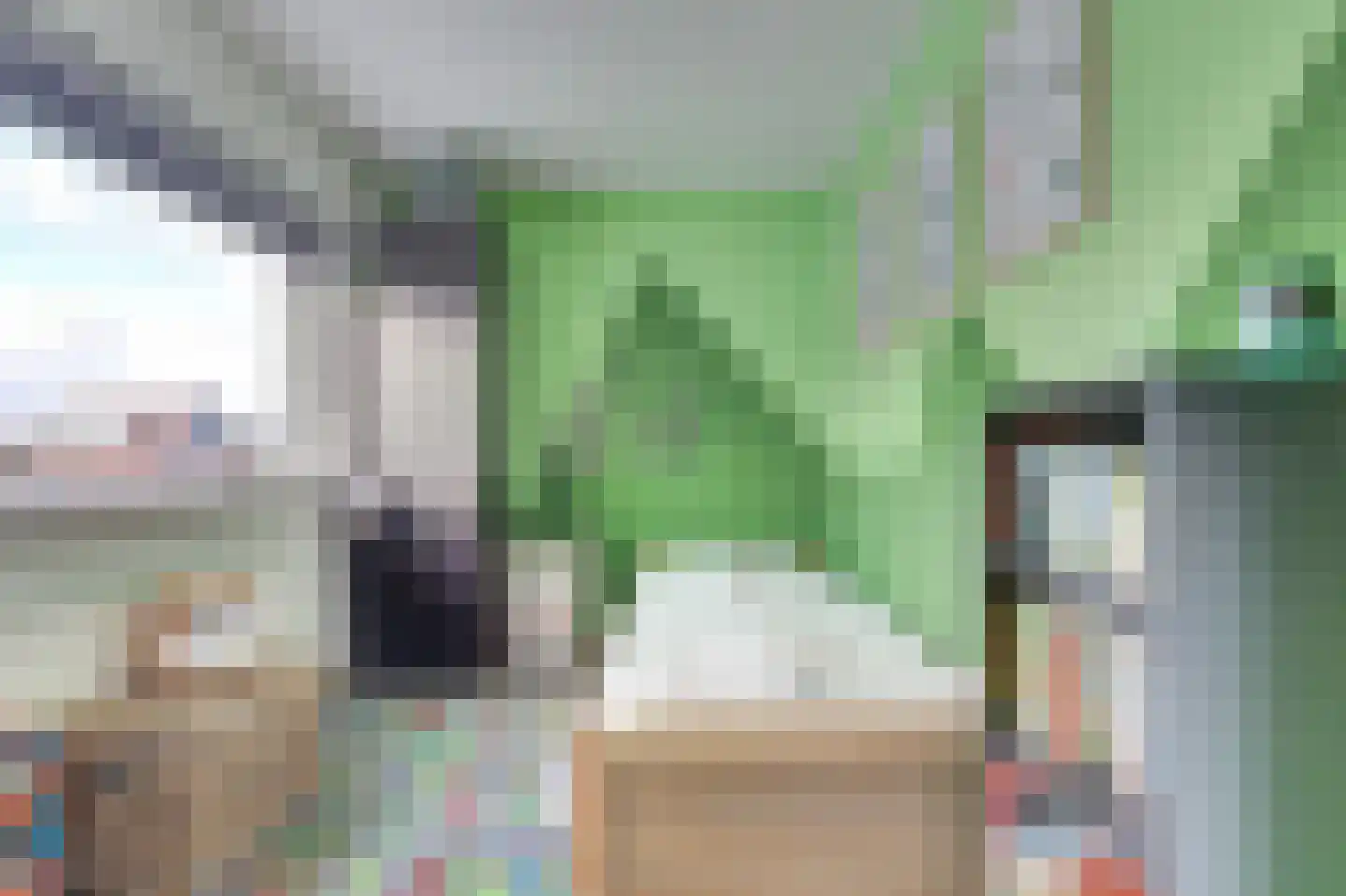 Ribesstraat 12 Nieuwerkerk thumbnail 20