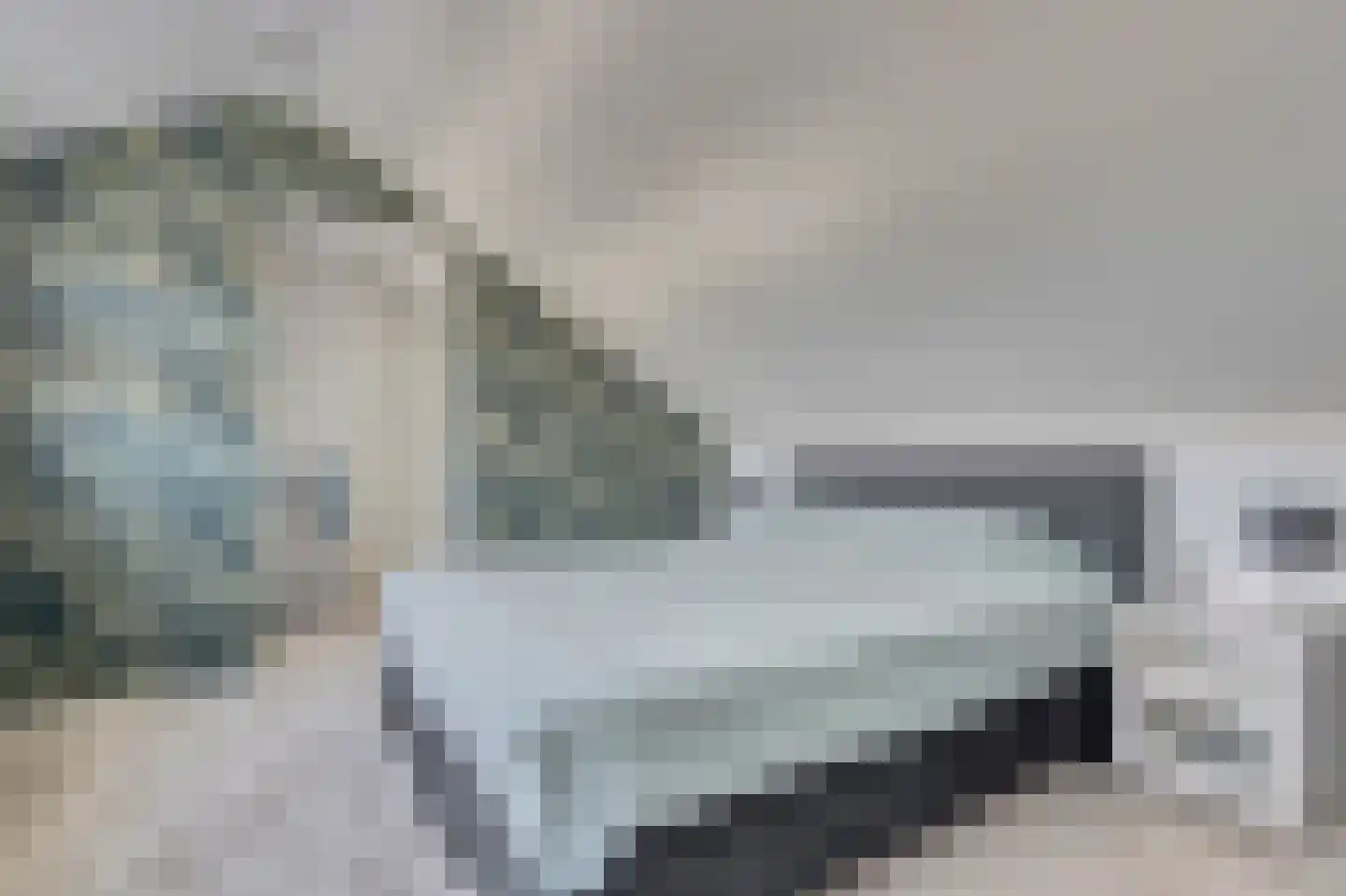 Ribesstraat 12 Nieuwerkerk thumbnail 24