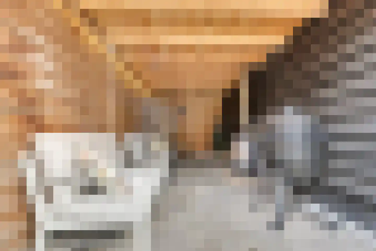 Ribesstraat 12 Nieuwerkerk thumbnail 27