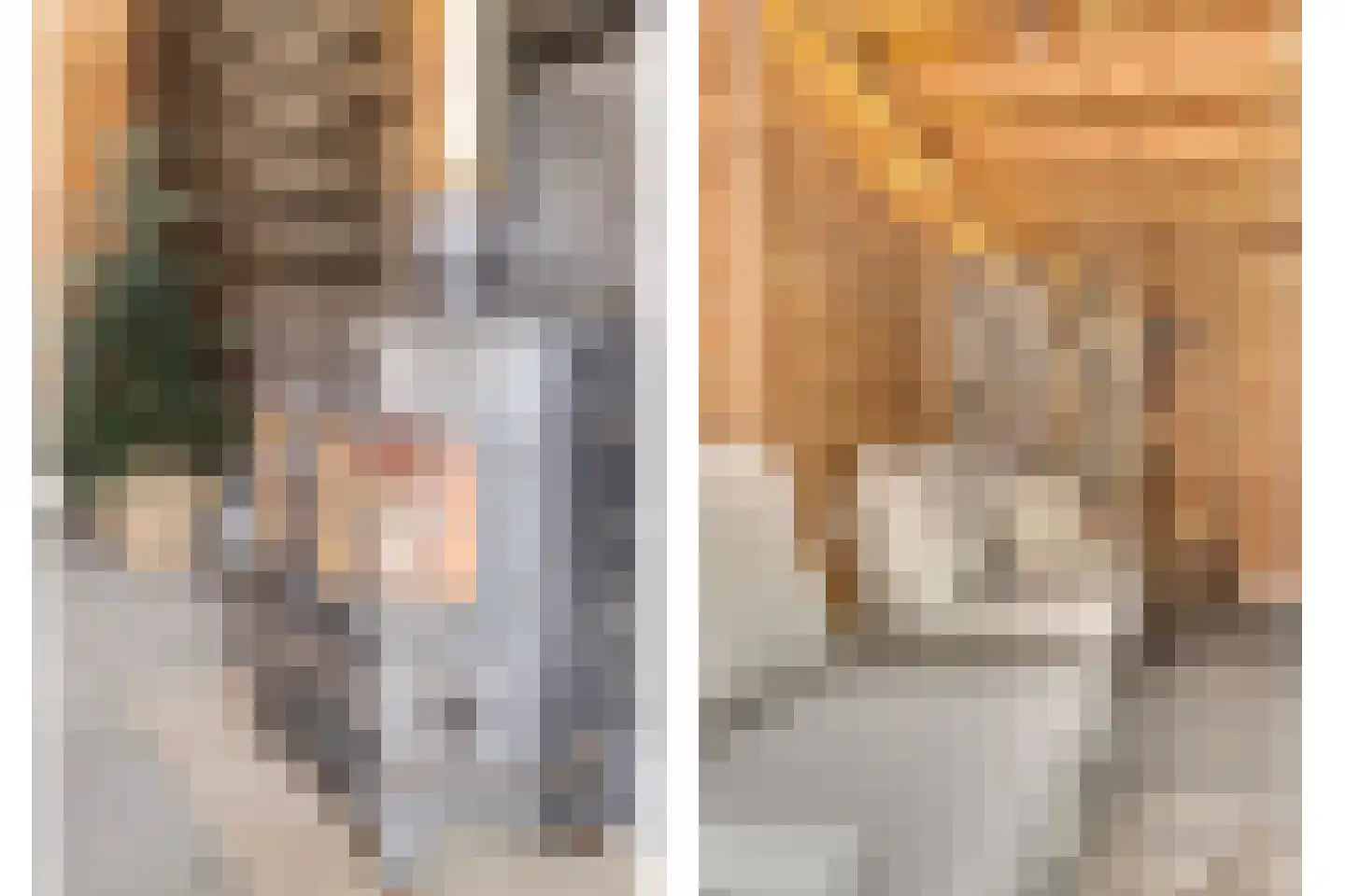 Ribesstraat 12 Nieuwerkerk thumbnail 29