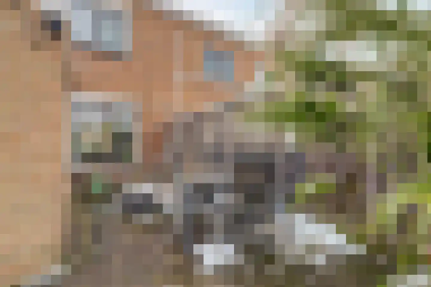 Ribesstraat 12 Nieuwerkerk thumbnail 31