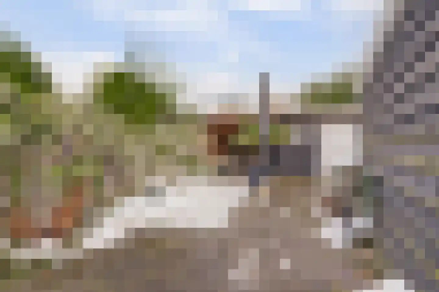 Ribesstraat 12 Nieuwerkerk thumbnail 32