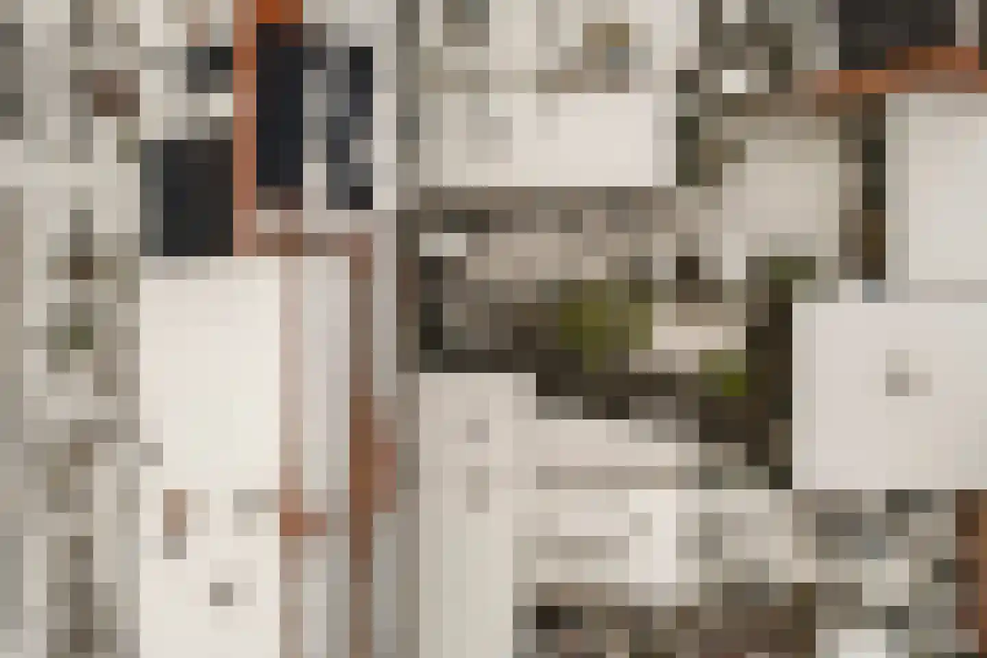 Ribesstraat 12 Nieuwerkerk thumbnail 36