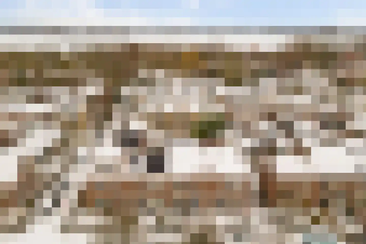 Ribesstraat 12 Nieuwerkerk thumbnail 37