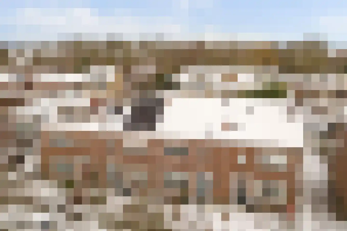 Ribesstraat 12 Nieuwerkerk thumbnail 38