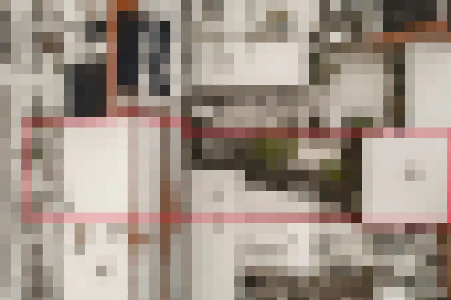 Ribesstraat 12 Nieuwerkerk thumbnail 39