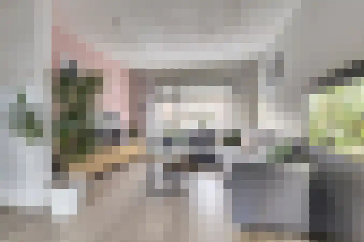 Ribesstraat 12 Nieuwerkerk thumbnail 4