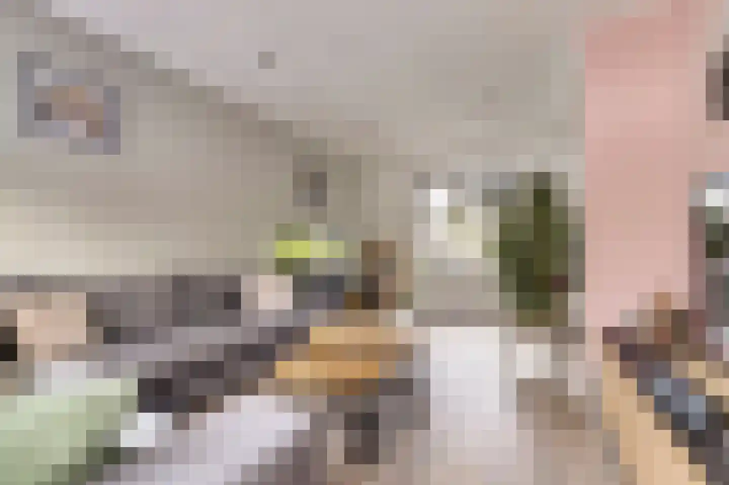 Ribesstraat 12 Nieuwerkerk thumbnail 5