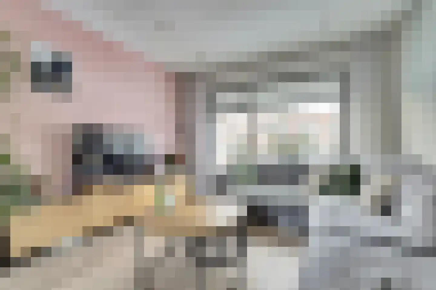 Ribesstraat 12 Nieuwerkerk thumbnail 6