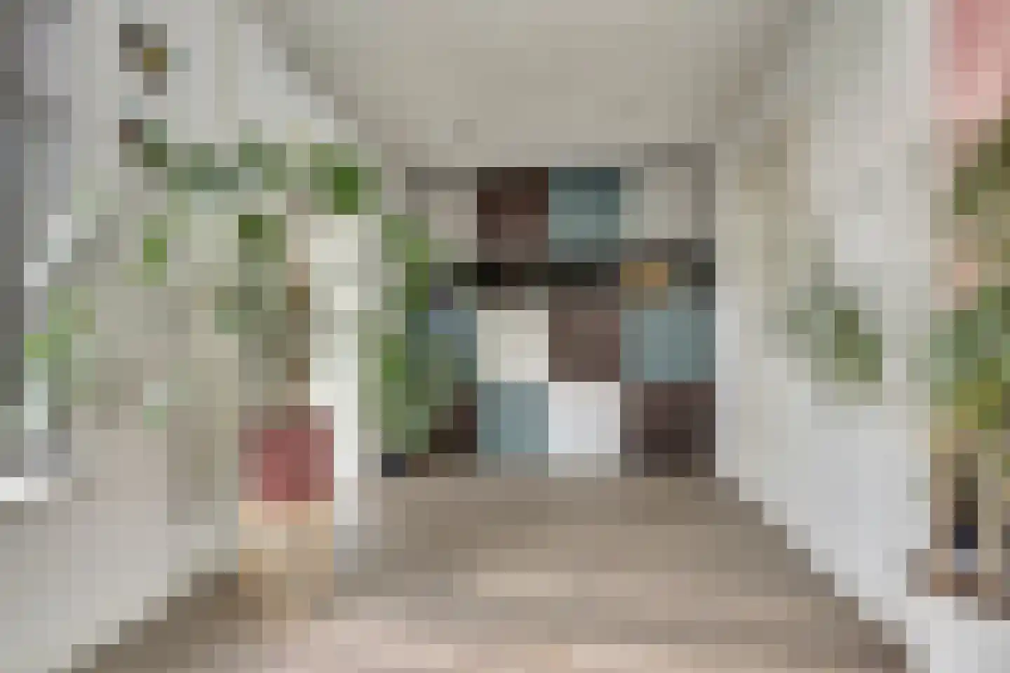 Ribesstraat 12 Nieuwerkerk thumbnail 7