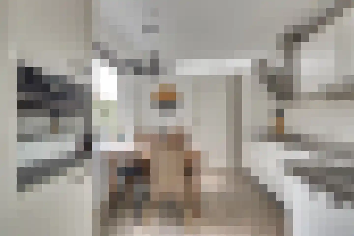 Ribesstraat 12 Nieuwerkerk thumbnail 8
