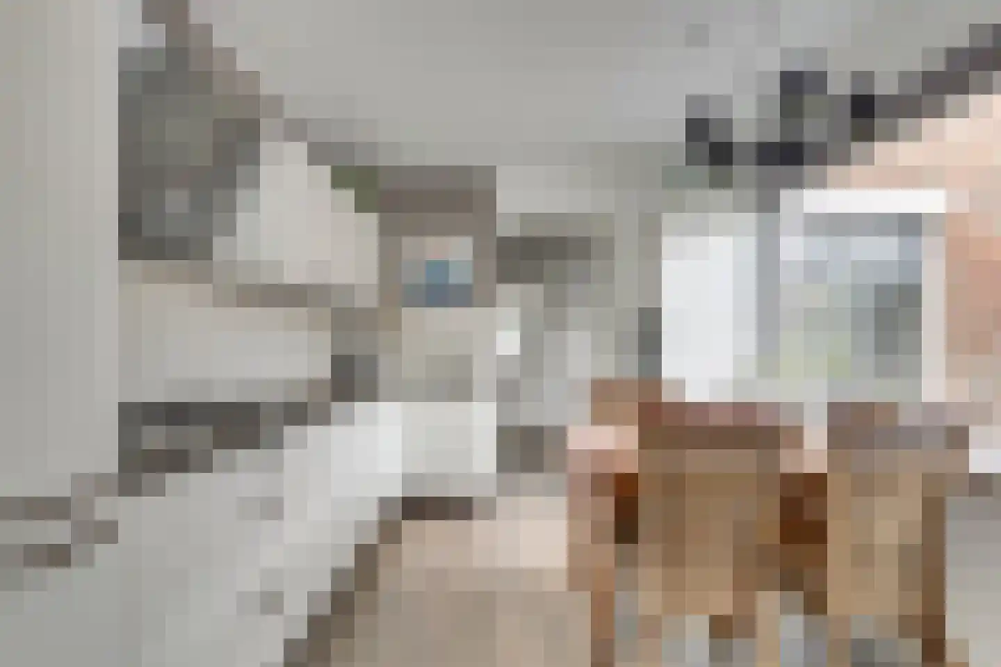 Ribesstraat 12 Nieuwerkerk thumbnail 9
