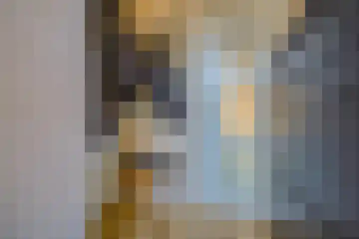 Ribesstraat 12 Spijkenisse thumbnail 17