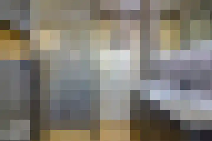Ribesstraat 12 Spijkenisse thumbnail 19