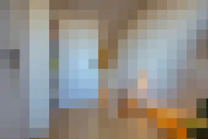 Ribesstraat 12 Spijkenisse thumbnail 27