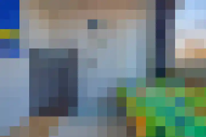 Ribesstraat 12 Spijkenisse thumbnail 29