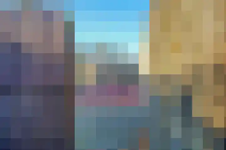 Ribesstraat 12 Spijkenisse thumbnail 32