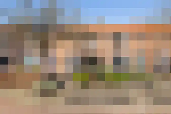 Ribesstraat 14 in Wezep