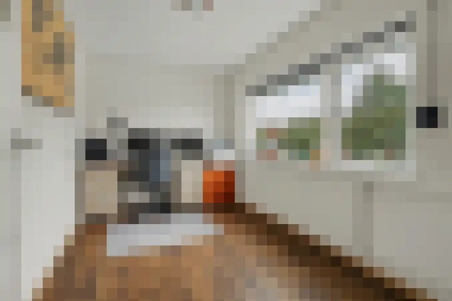 Ribesstraat 14 Nieuwerkerk thumbnail 12