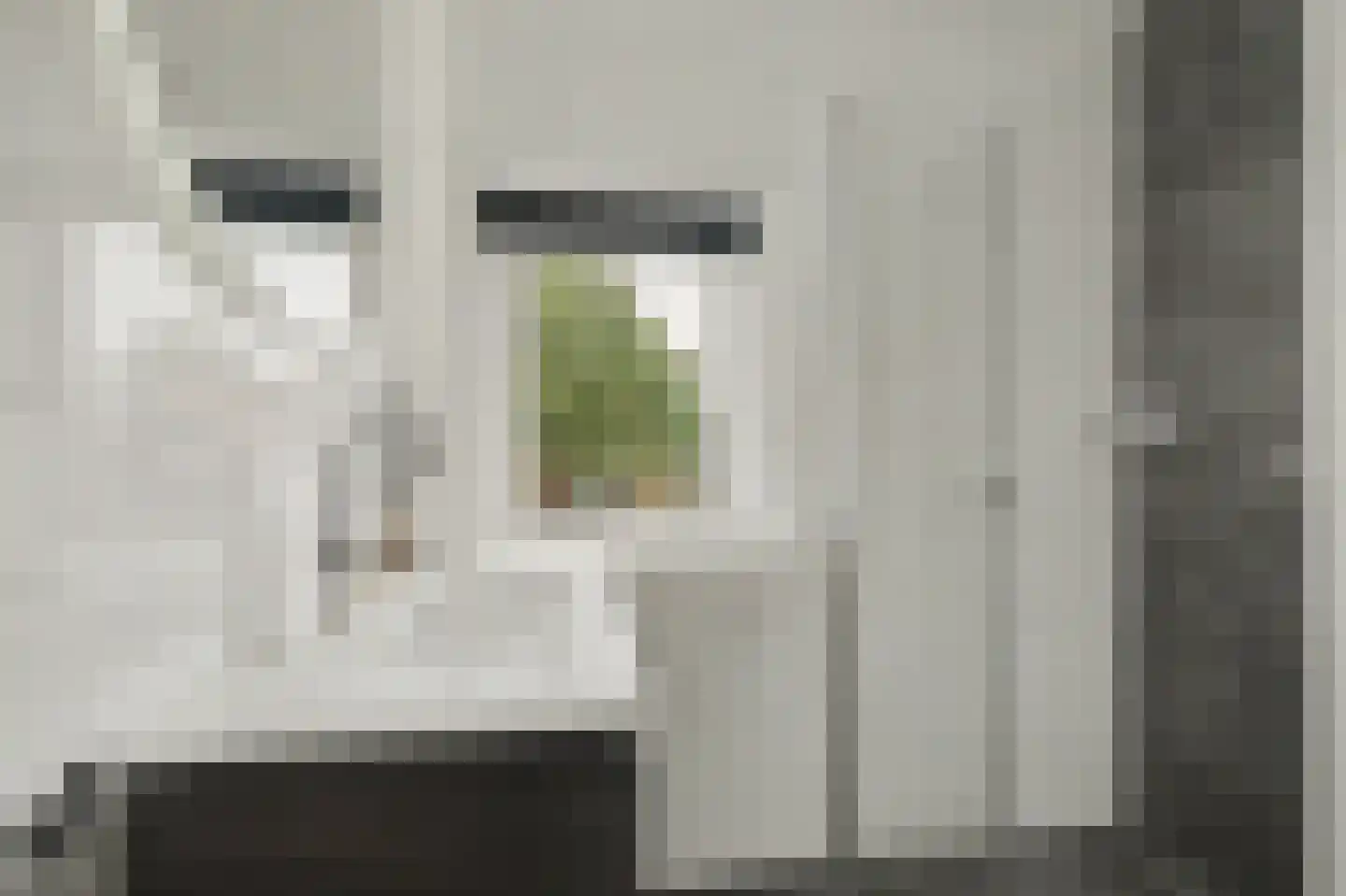 Ribesstraat 14 Nieuwerkerk thumbnail 13