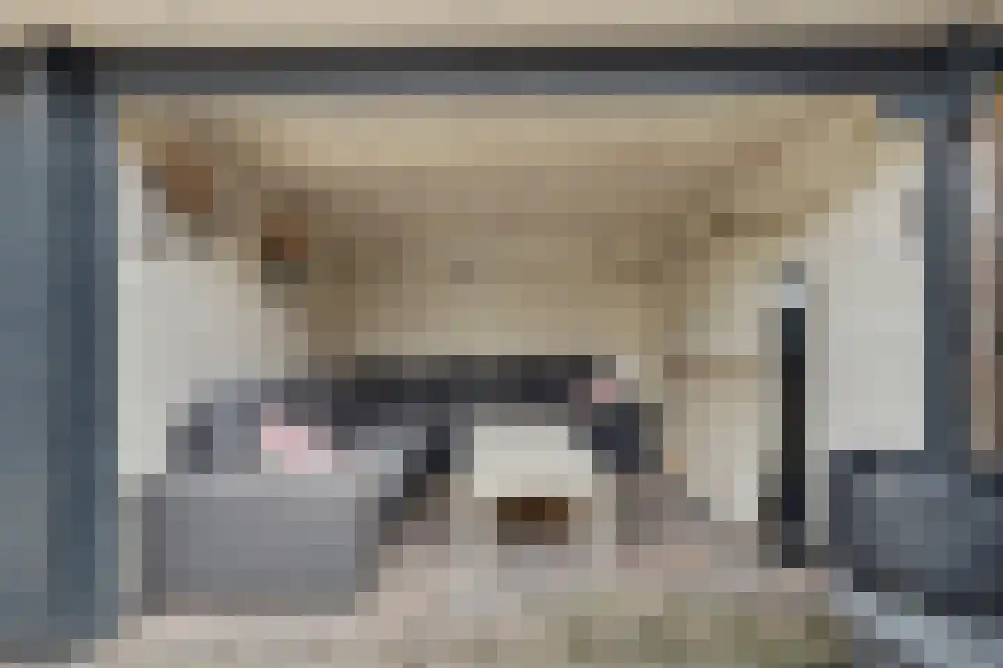 Ribesstraat 14 Nieuwerkerk thumbnail 16